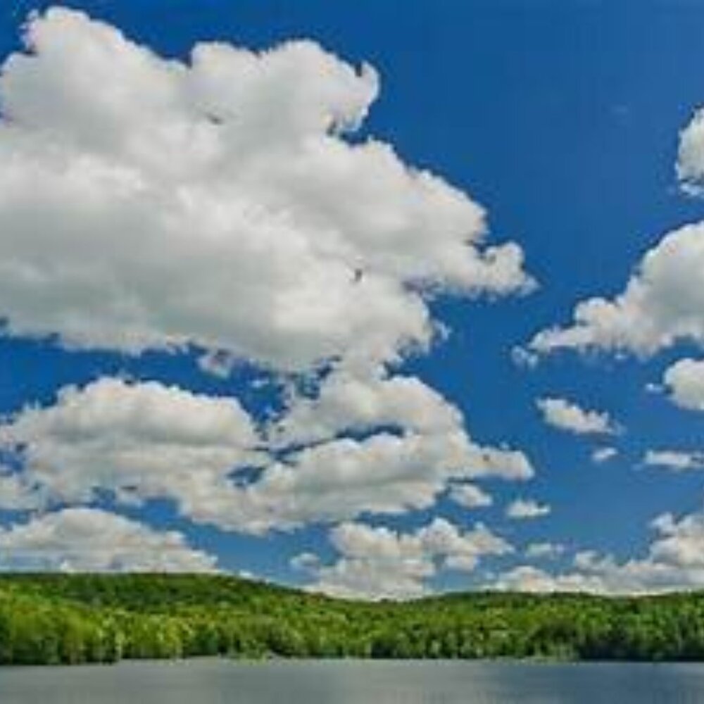 Meet your Posher, Hilary